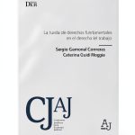DER Ediciones Kindle Book Constitutional Law-0