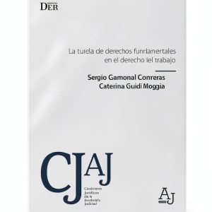 DER Ediciones Kindle Book Constitutional Law-0